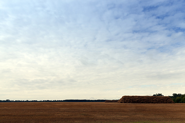 Image showing landscape autumn