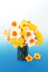 Image showing Spring Daffodil and Narcissus Flower Arrangement
