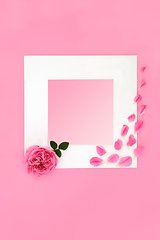 Image showing Valentines Day Pink Rose Flower for Lovers