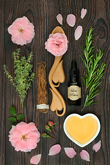 Image showing Wiccan Occult Magic Love Potion Concept