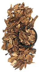 Image showing Hog Fennel Root Herb Herbal Plant Medicine