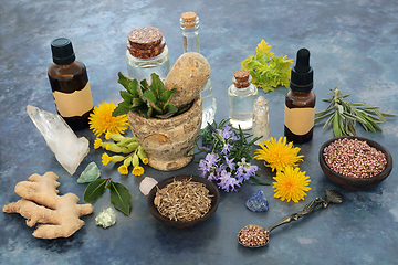 Image showing Alternative Natural Herbal Remedy Ingredients 