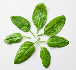 Image showing spinach leaves on white background