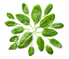 Image showing green spinach leaves