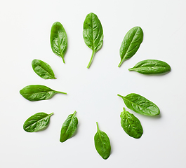 Image showing green spinach leaves