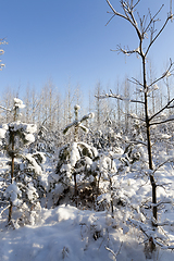 Image showing Snow drifts in winter