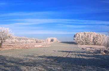 Image showing winter on field