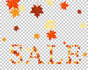 Image showing Falling maple leaves