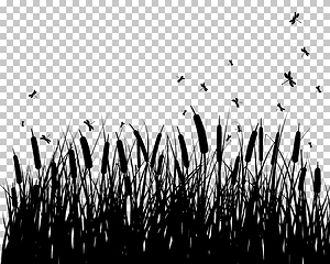 Image showing meadow silhouettes