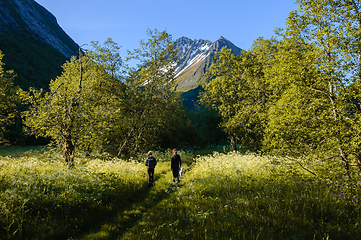 Image showing hiking in the mountains
