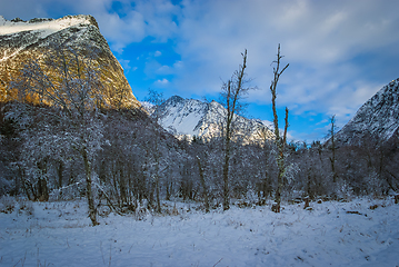 Image showing snow covered mountains