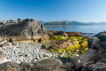 Image showing rocky coast of the sea