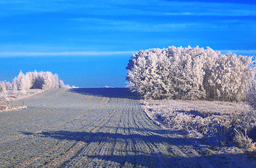 Image showing winter on field