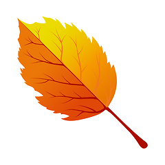 Image showing Autumn Tree Leaf