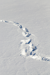 Image showing trace snow