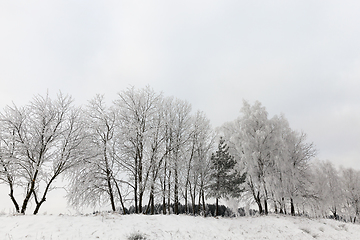 Image showing Snow drifts in winter