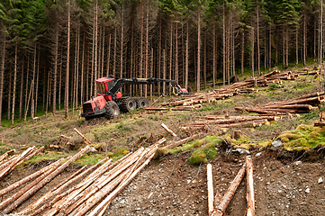 Image showing forest machine at work in the forest