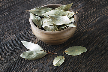 Image showing Bay leaf