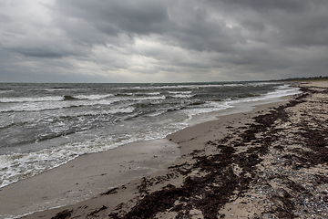 Image showing Rough sea and autumn weather on the coast 