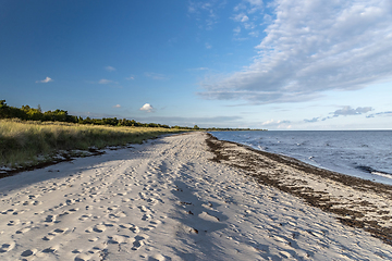 Image showing Autumn landscape with sea, sand and grass