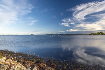 Image showing The landscape with the sea, swans, trees and stones, the coast o