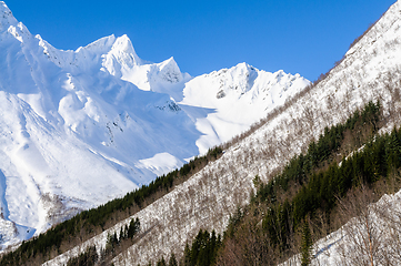 Image showing snowy mountains with trees and blue sky