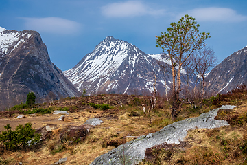 Image showing mountain peak with furrow in the foreground