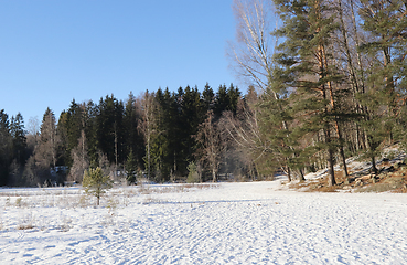 Image showing Vinter