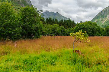 Image showing autumn colors with mountains in the distance