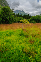 Image showing autumn colors with mountains in the distance