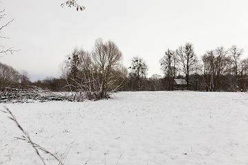 Image showing Snow drifts in winter