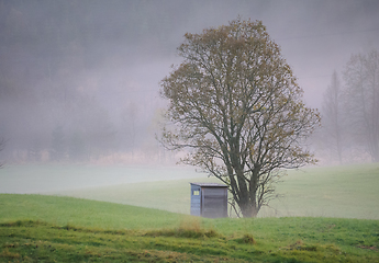 Image showing fog on tree and hunting hut