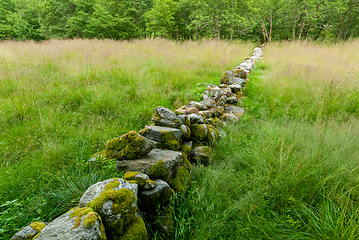 Image showing old stone fence in the forest