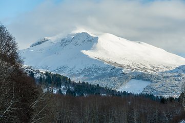 Image showing snowy mountains and forests