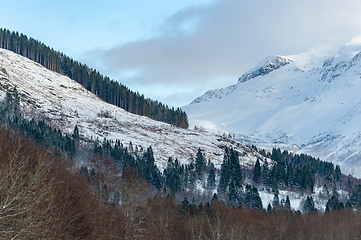 Image showing snowy mountains with fir trees