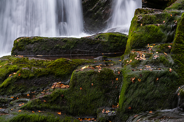 Image showing autumn mood in flowing stream with leaves