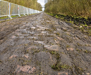 Image showing Pave d'Arenberg