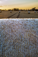 Image showing Landscape with field and straw bales at sunset.