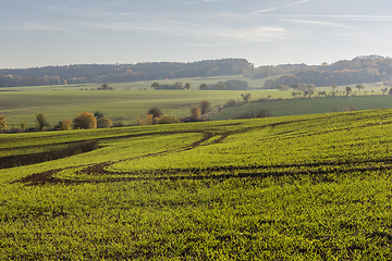 Image showing Autumn landscape with fields and trees
