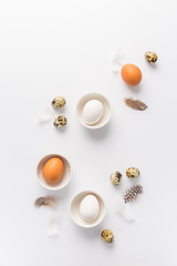 Image showing Different eggs with feathers for Easter on white background