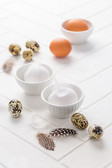 Image showing Different eggs with feathers for Easter on white background