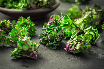 Image showing Kalette, kale sprouts, flower sprouts on black background. Heath