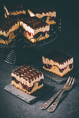 Image showing German cake Donauwelle (Danube waves) - vanilla and chocolate sponge cake with sour cherries, vanilla buttercream and chocolate icing 