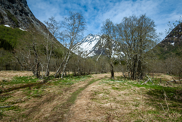 Image showing path that leads towards Vassdalstinden in spring