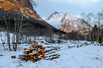 Image showing felled trees in snow in front of the Vassdal peak