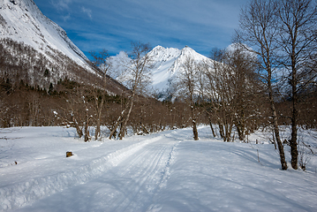 Image showing ski track that goes towards Vassdalstinden