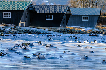 Image showing frozen sea with rocks sticking up in front of the boathouse