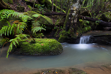 Image showing Tranquility is listening to the cascading of water along a mount