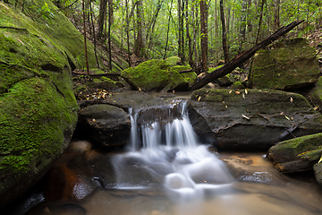 Image showing Waterfall in lush green Australian bush land