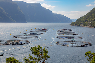 Image showing Farm salmon fishing in Norway